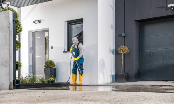 Animal Enclosure Cleaning in Jasper, TX