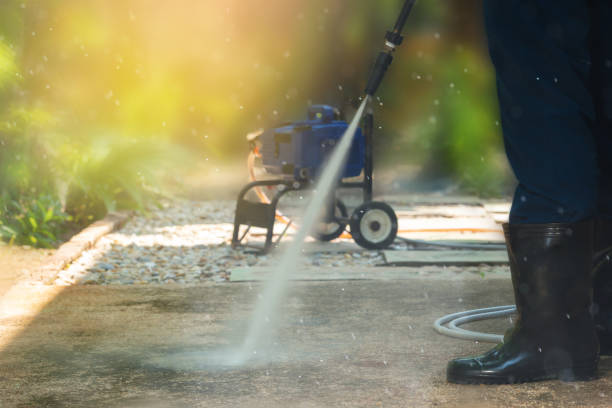 Best Gutter Cleaning  in Jasper, TX